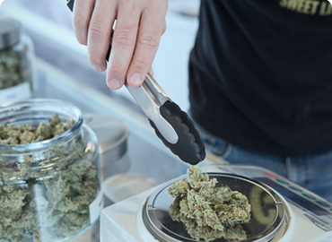 True factors of the modern healthy lifestyle